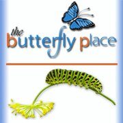 %%The Butterfly Place%%, Westford, MA; Gift Certificate Toward Admissions and/or Merchandise; No expiration date; See New England butterflies and tropical species from all over the world. Observe butterflies sipping from flowers, basking in the sunshine, and flying freely in a natural habitat. See eggs, caterpillars, and other interesting creatures up close. https://butterflyplace-ma.com/
