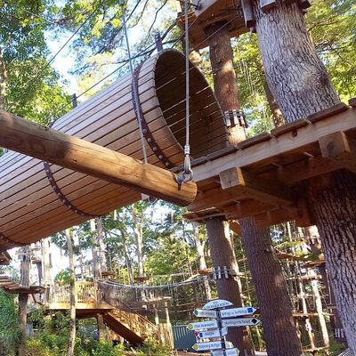 %%Treetop Adventures%%, Canton, MA; Two Tickets; Expire 12/12/2024; A high ropes and obstacle course; Ten trails range in difficulty level from beginner to expert and consist of obstacles like rolling logs, bridges, ladders, tight ropes, zip-lines and more; Value based on tickets for two adults, although may be used by children ages 7 and up. https://www.treetopcanton.com/