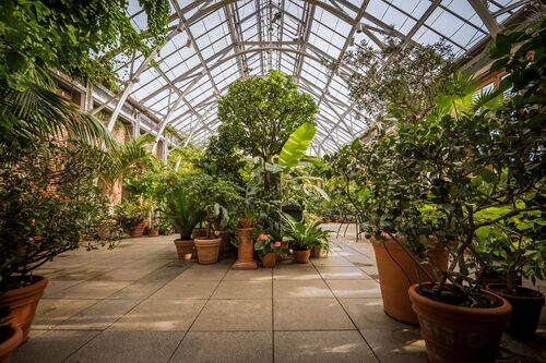 %%New England Botanic Garden at Tower Hill (2)%%, Boylston, MA; Two General Admission Passes; Not valid for special events; Expire 1/31/2027; Features a display of the finest plants for cultivation in New England; Carefully planned gardens and collections of ornamental, edible, and native plants, plus trails enhance natural features of this beautiful 171-acre property. https://nebg.org/