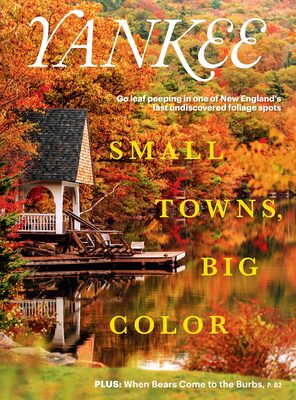 %%Yankee Publishing, Inc. (3)%%, Dublin, NH; One Year Subscription to Yankee New England Magazine; Six issues per year; Dedicated to people who relish the traditions and values of New England. Features New England humor pieces, poetry, how-to articles and personality pieces; Topics covered include travel, food, shopping, books and home buying. https://ypi.com/
