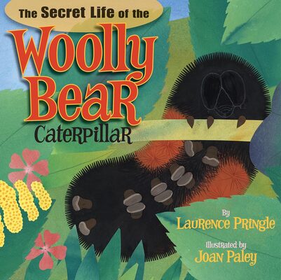 %%Autographed Copy of THE SECRET LIFE OF THE FLYING SQUIRREL%%, Donated and signed by author Laurence Pringle, West Nyack, NY; Illustrated by Kate Garchinsky; Hardcover; Ages 6-9; Follow a year in the life of Volans, a flying squirrel, as she glides in the night air to hunt for food, deftly avoids danger from a raccoon, and gives birth to three tiny pups before preparing once again for the coming winter. Filled with intriguing facts and gorgeous illustrations, readers will be fascinated by the story of these remarkable rodents. http://www.laurencepringle.com/