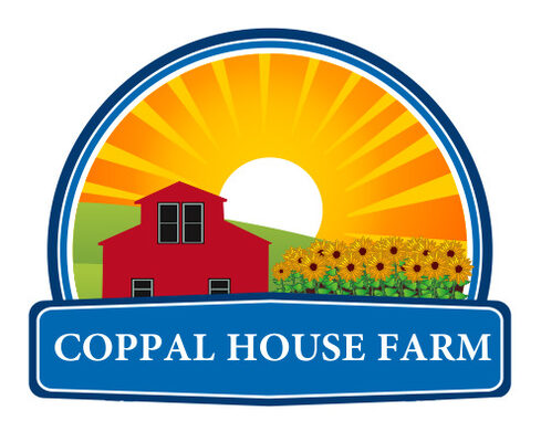 %%Coppal House Farm (2)%%, Lee, NH; Admission for 4 People to Sunflower Festival OR Corn Maze for 2025; Sunflower Festival runs from July 26-August 3; Fall Corn Maze runs from September 6-November 1; Value varies based on ages of attendees and which event is chosen; Be sure to check out website to learn more. https://www.nhsunflower.com/; https://www.nhcornmaze.com/